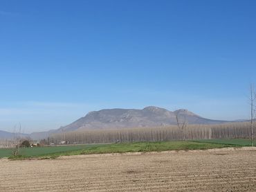 Rural land for sale in Autovía de Santa Fe a Granada 8