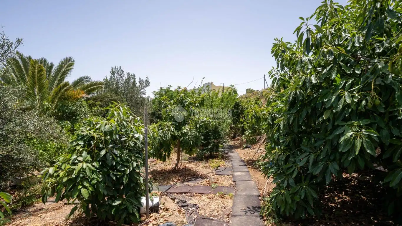 Terreny rústic en venda a Valsequillo de Gran Canaria, imagen 11