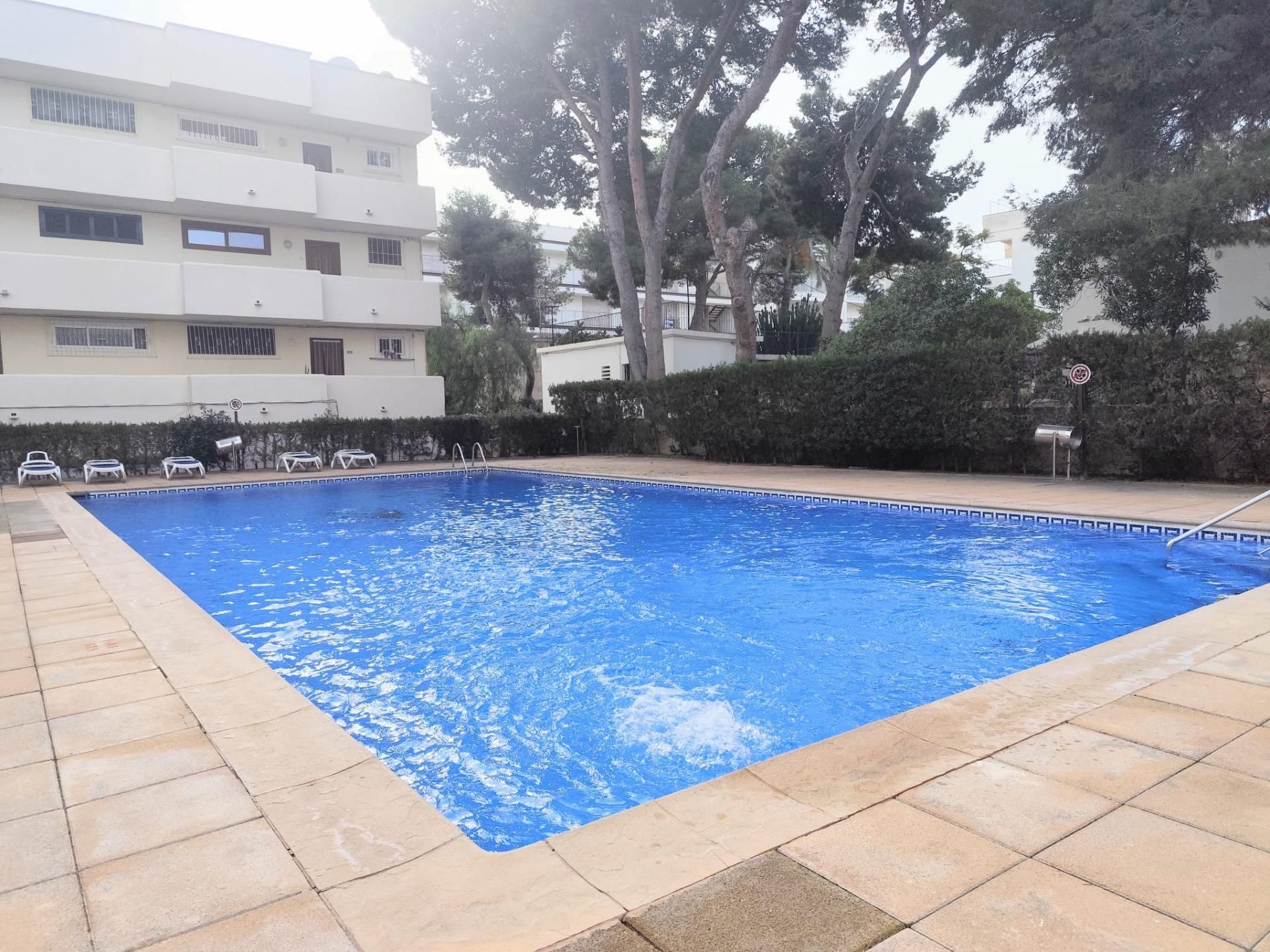 Estudio de alquiler en Palmanova