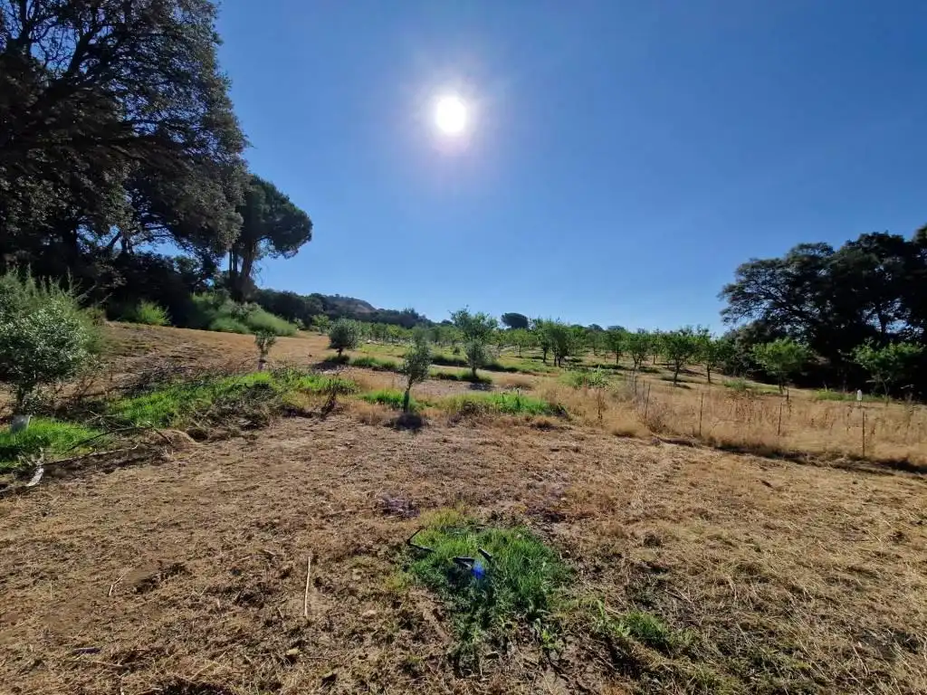 Terreno en venta en Binaced