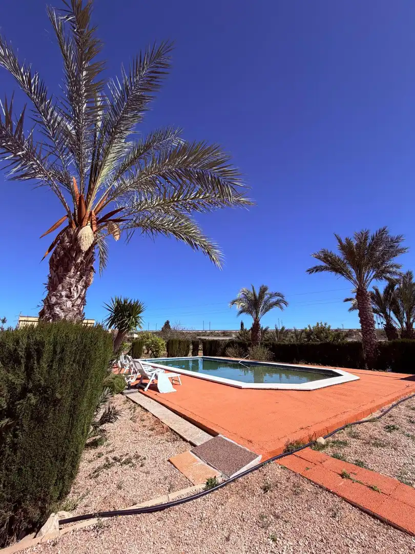 Piscina de Casa o xalet en venda en Crevillent