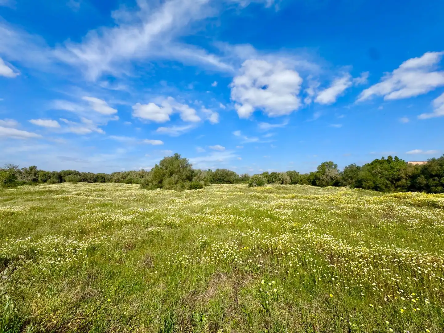 Residential land for sale in parcela 27 del polígono 22. Campos, imagen 2
