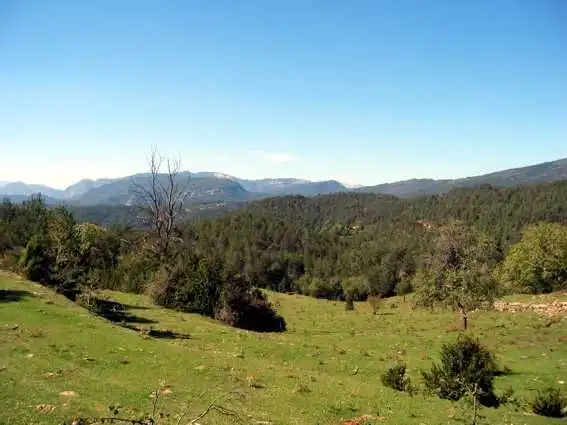 Vista exterior de Finca rústica en venta en Les Llosses