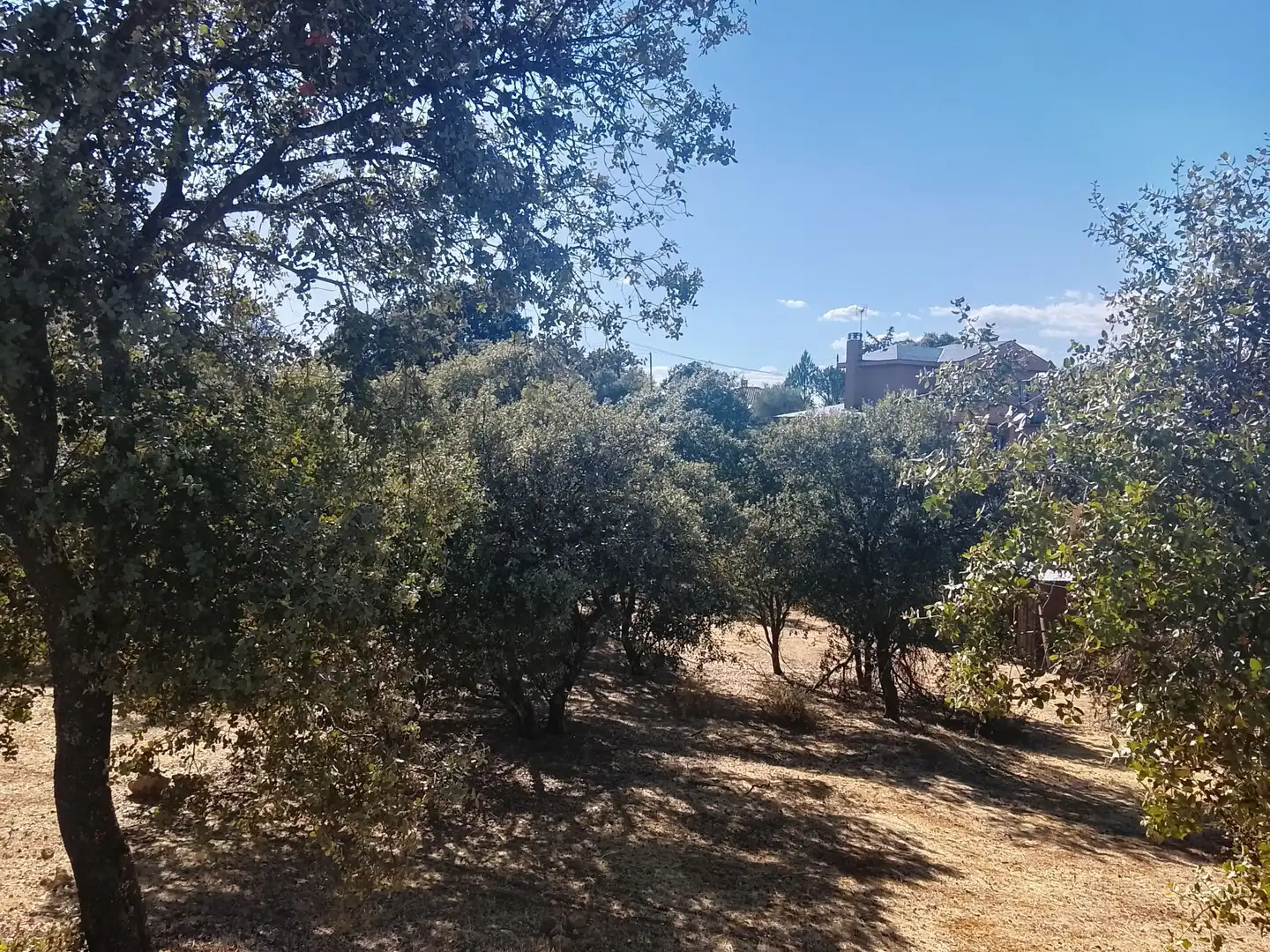 Terreni e lotti in vendita a Sevilla la Nueva, imagen 8
