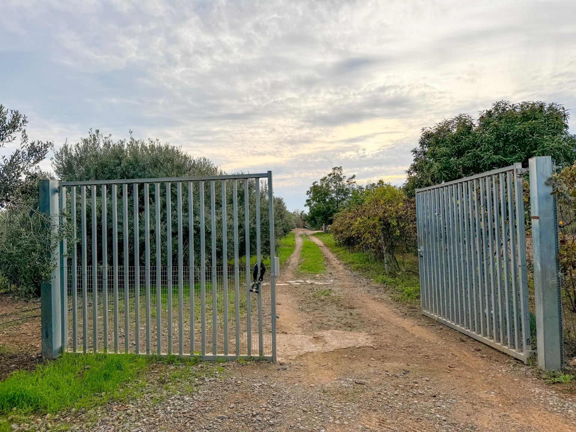 Finca rústica en venta en  BURGAR DEL, 40, Riudoms
