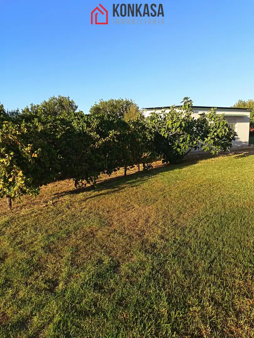 Casa rústica amb piscina en venda a Arcos de la Frontera, imagen 29