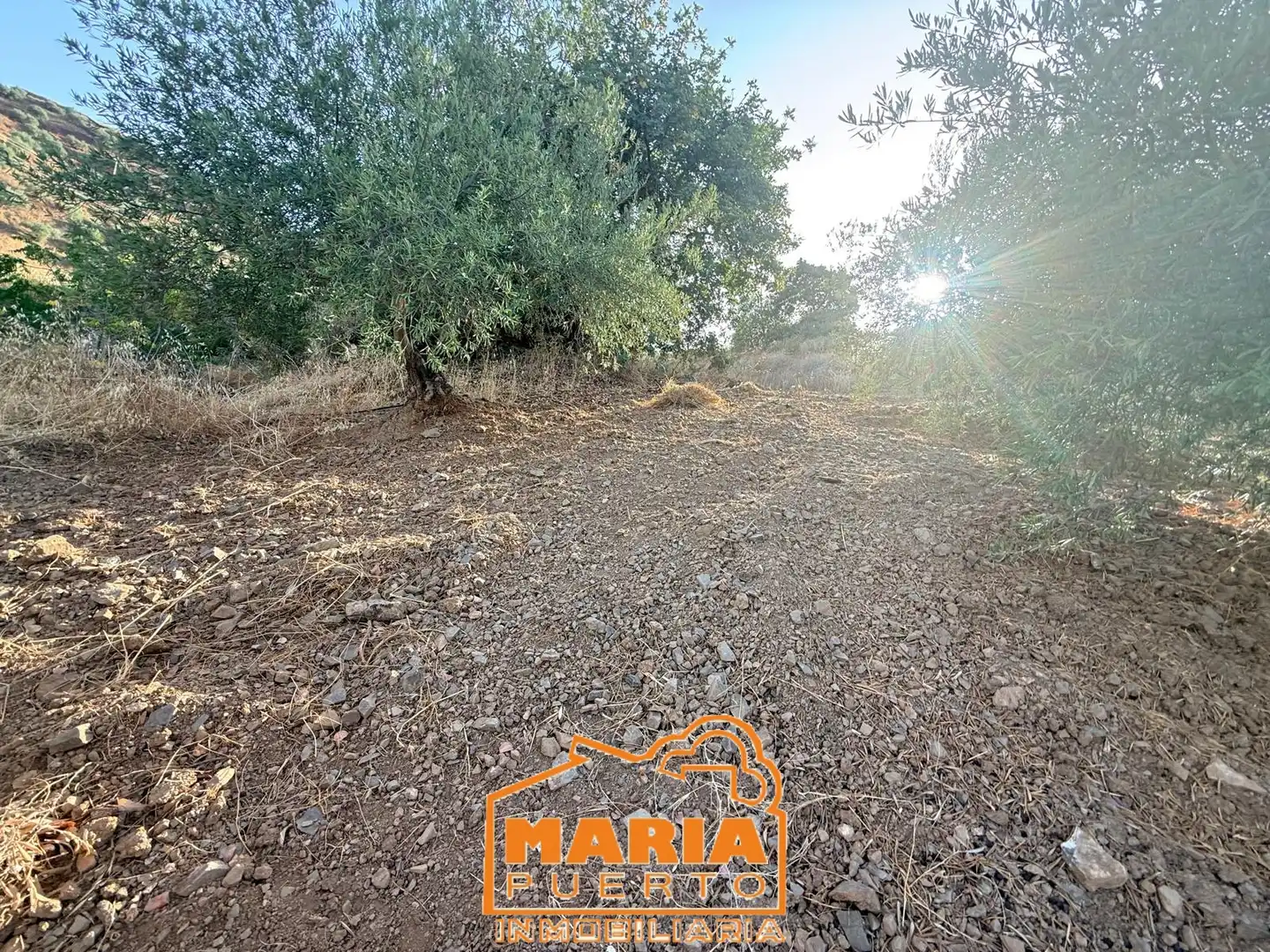 Terreno rustico in vendita a Almogía, imagen 22