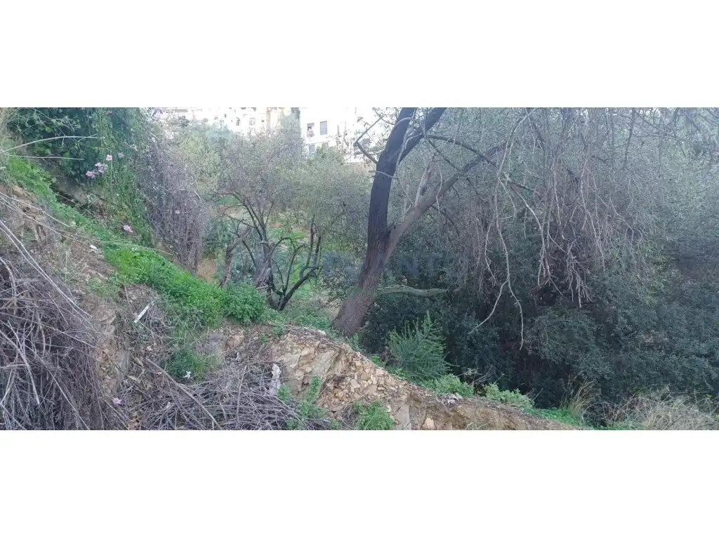 Finca rústica en venta en Totalán con Jardín privado