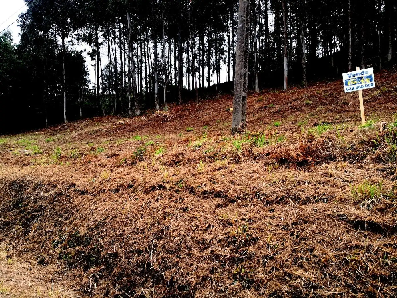 Terreni e lotti in vendita a Malpica de Bergantiños, imagen 8