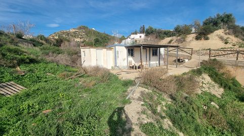 CORTIJO TERQUE, immagine 4