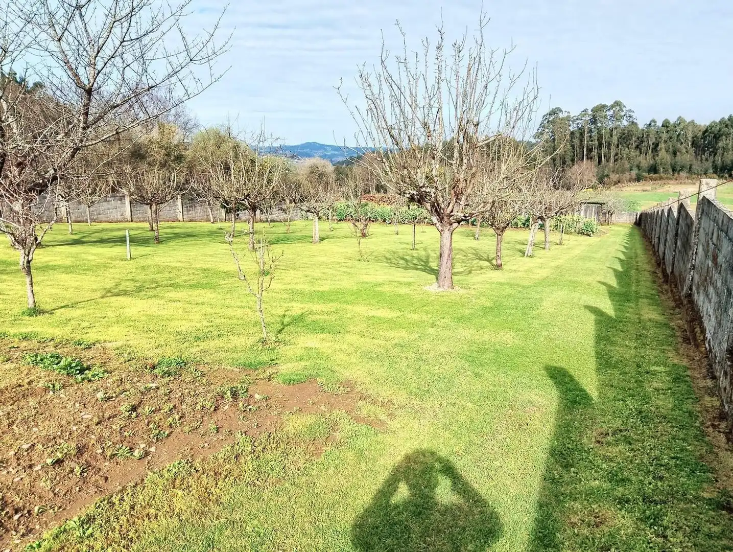 Villa avec jardin à vendre à Armea, imagen 28