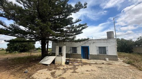Oportunidad Única Gran Finca de 9.000 m2 en Conil de la Frontera