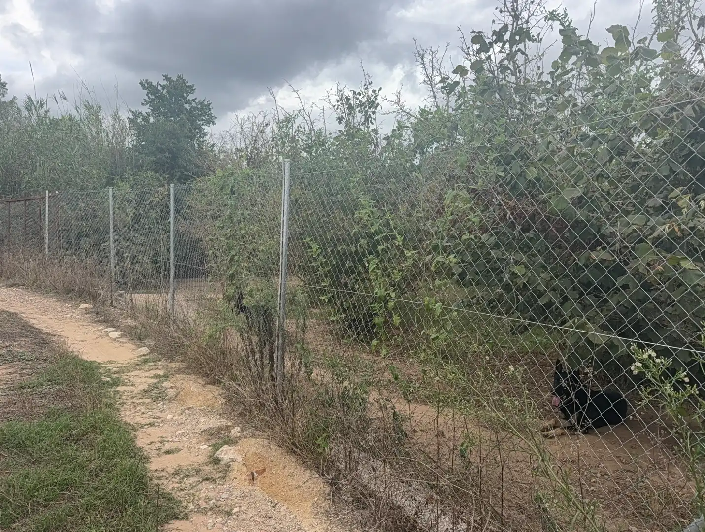 Terreny rústic en venda a Carretera del Catllar 22, imagen 20