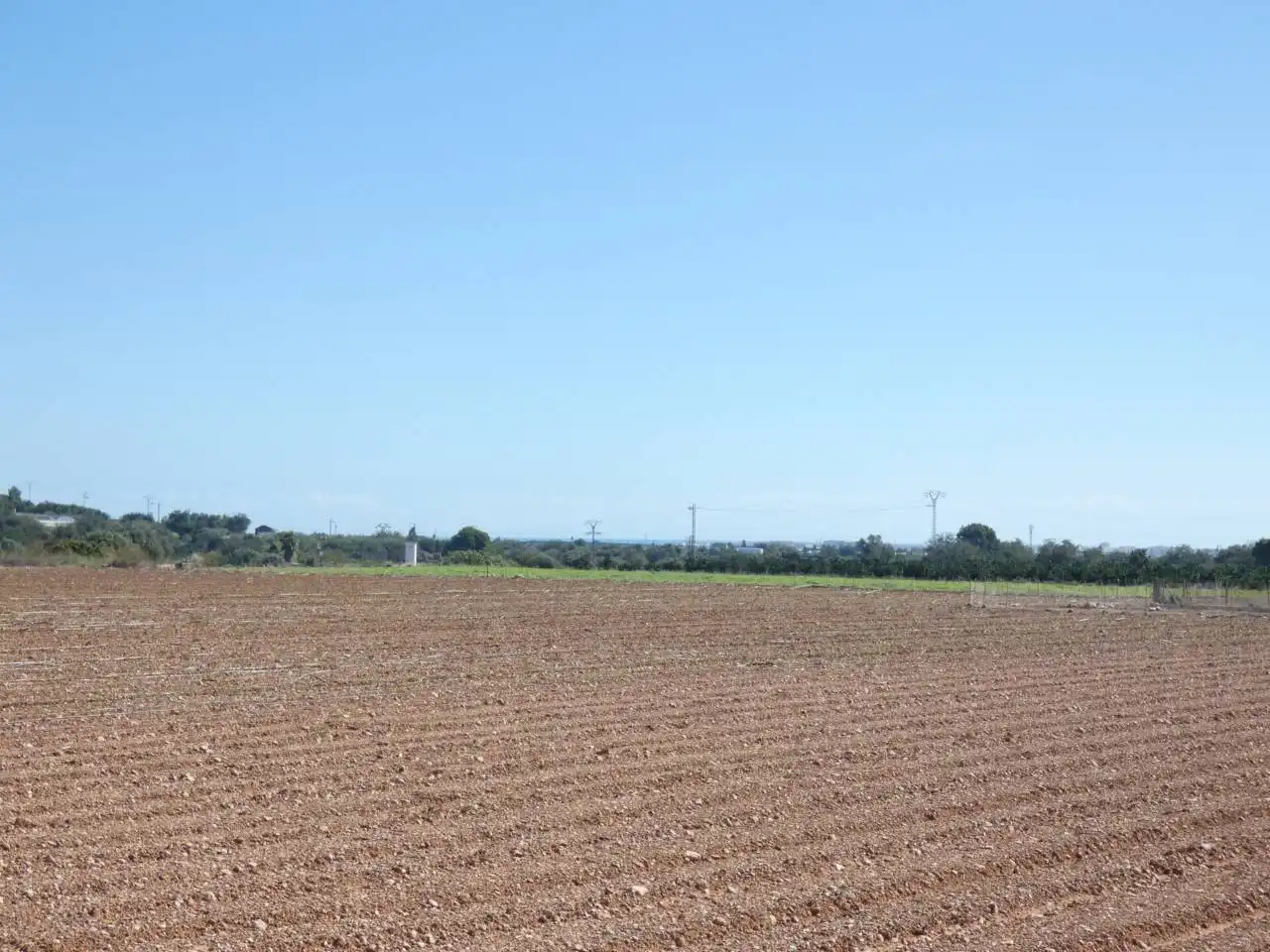 Rural land for sale in Calle PARTIDA PUIG POL 3