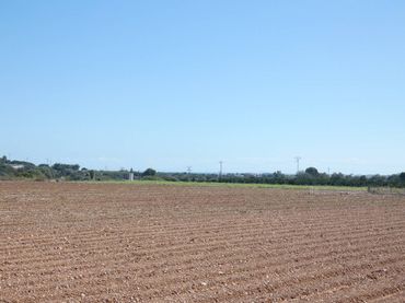 Terreno rustico in vendita a Calle PARTIDA PUIG POL 3