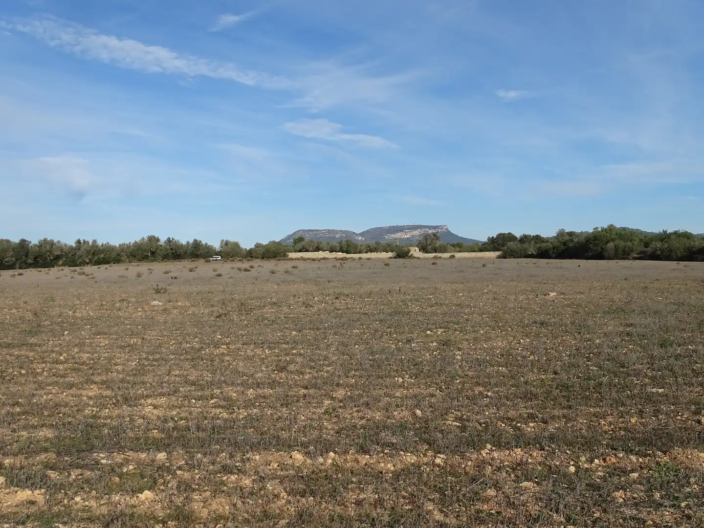 Terreno rustico in vendita a Llucmajor pueblo, imagen 10