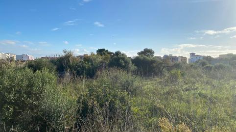 Photo 3 of Residential for sale in Centre Històric, Illes Balears