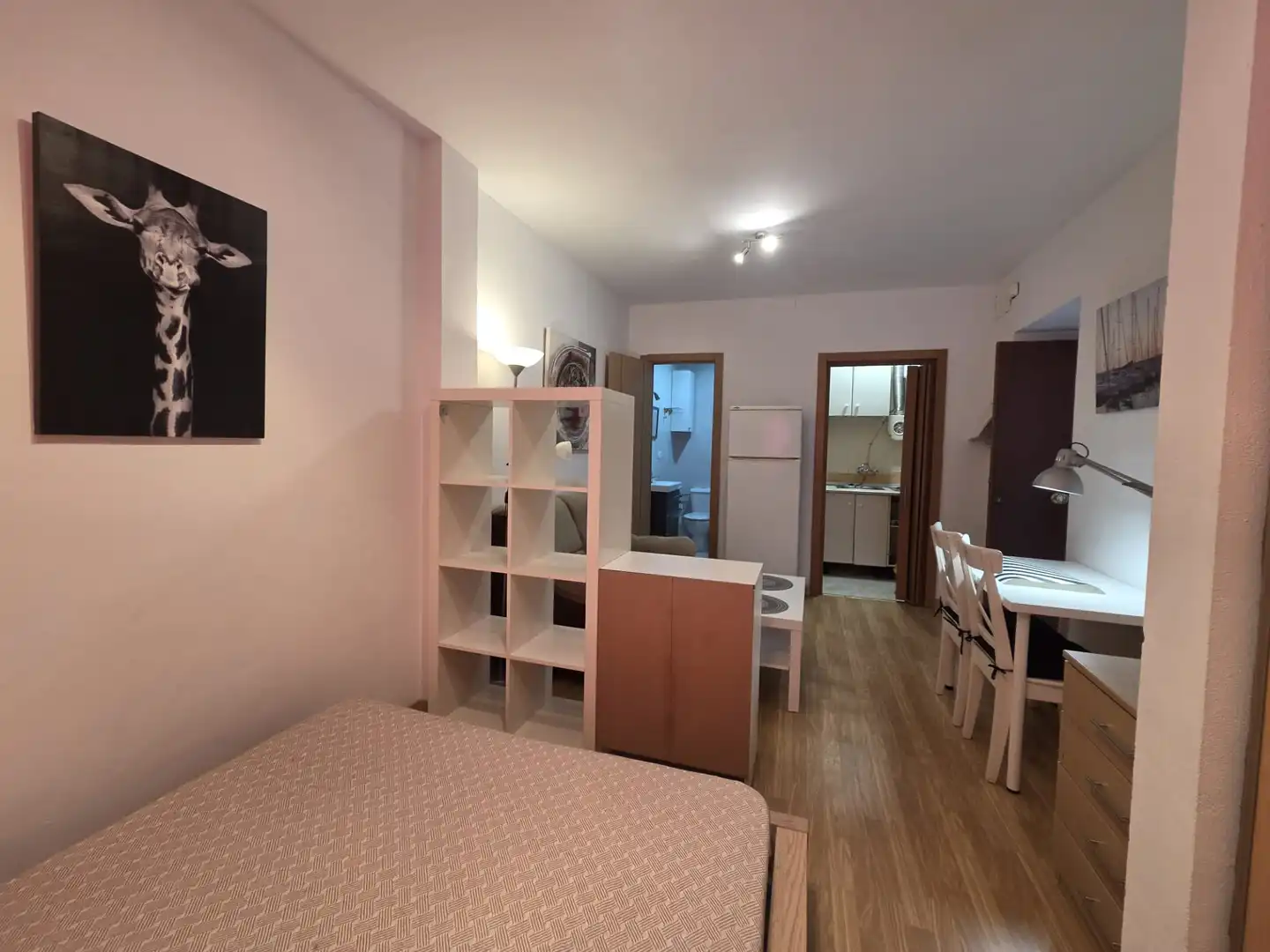 Study for rent in Plaza de Fortuny, 24, San Matías - Realejo