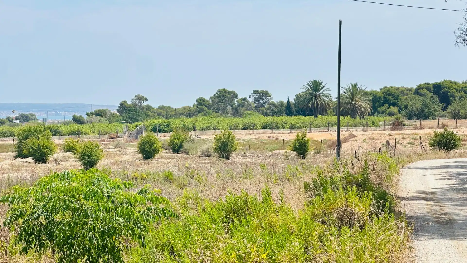 Terrain rustique à vendre à La Marina, imagen 11