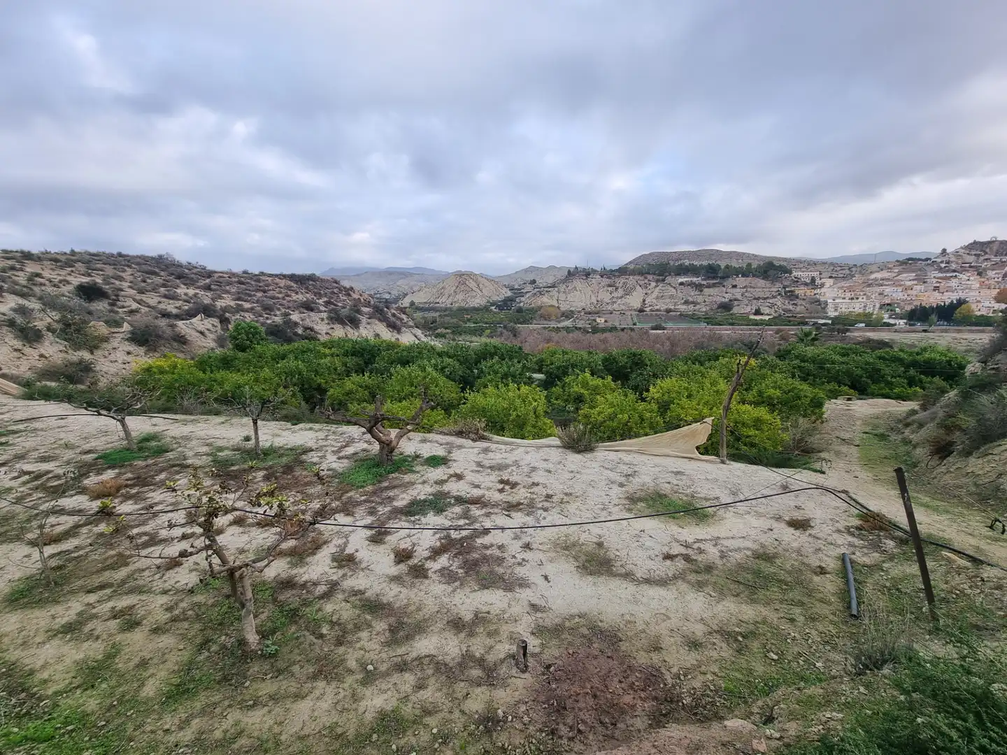 Rural land for sale in Calle Camino Ancho 4, imagen 16