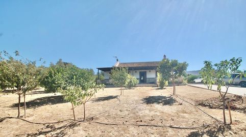Foto 3 de Finca rústica en venda a Bobadilla - Bobadilla Estación - La Joya, Antequera