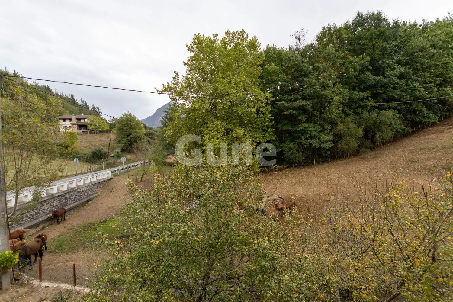 Houses for sale in Zaldibia, Gipuzkoa