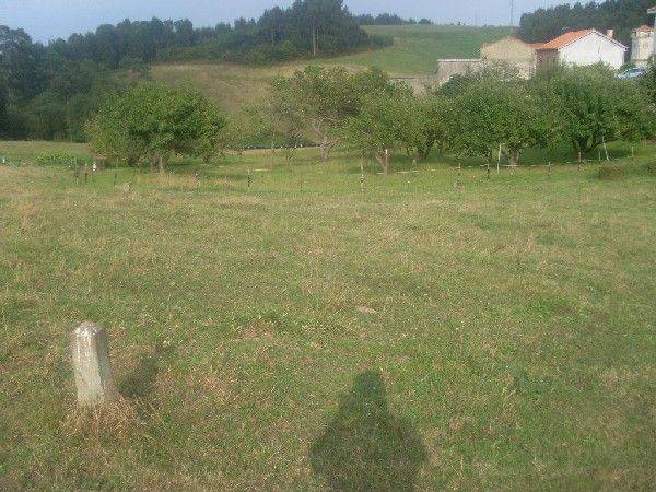 Terreno residencial en Venta en N/A, -1 en Bocines - Nembro - Cardo