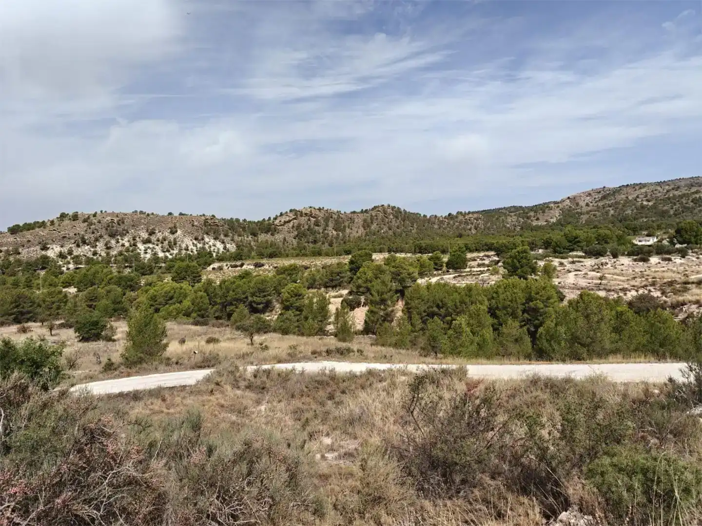 Finca rústica en venda en Petrer