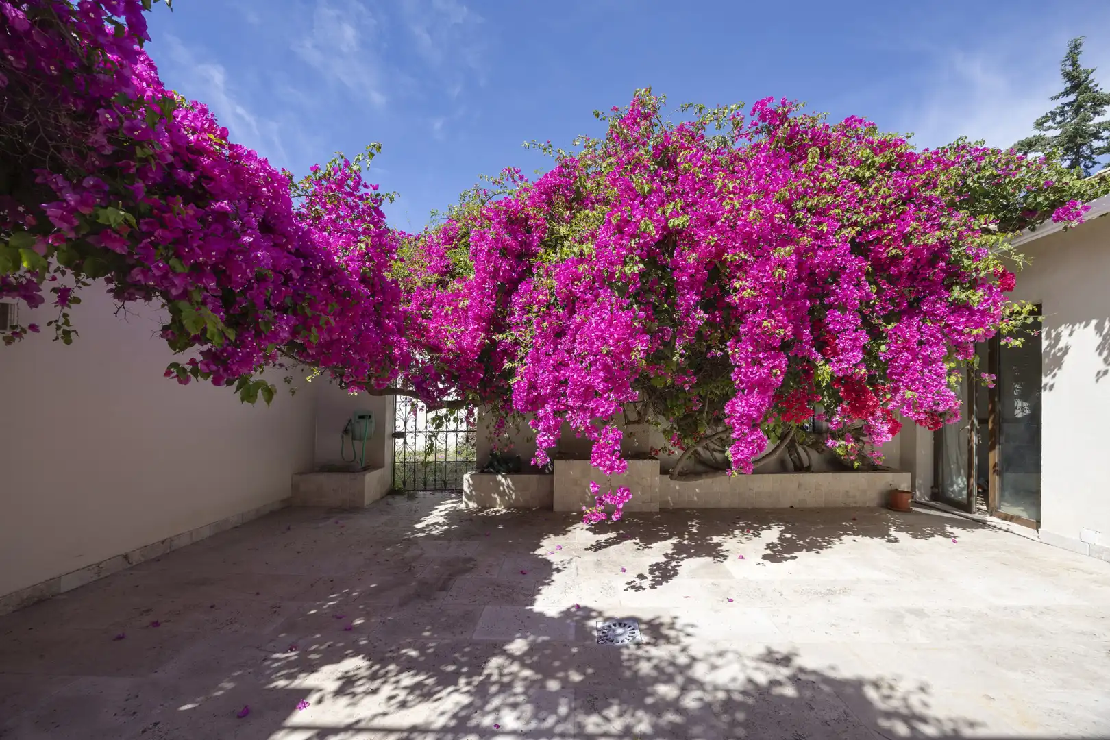 Jardí de Casa o xalet en venda en Estepona amb Aire condicionat, Jardí privat i Terrassa