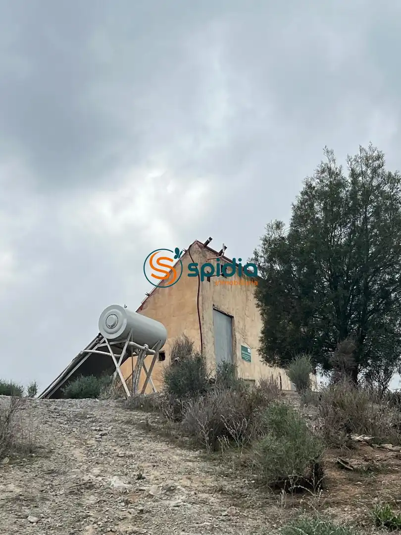 Exterior view of Country homes for sale in Lorca  with Private garden, Terrace and Swimming Pool