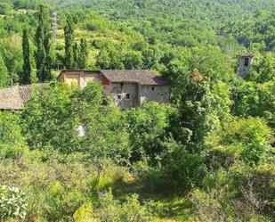 Garden of Country house for sale in Senterada