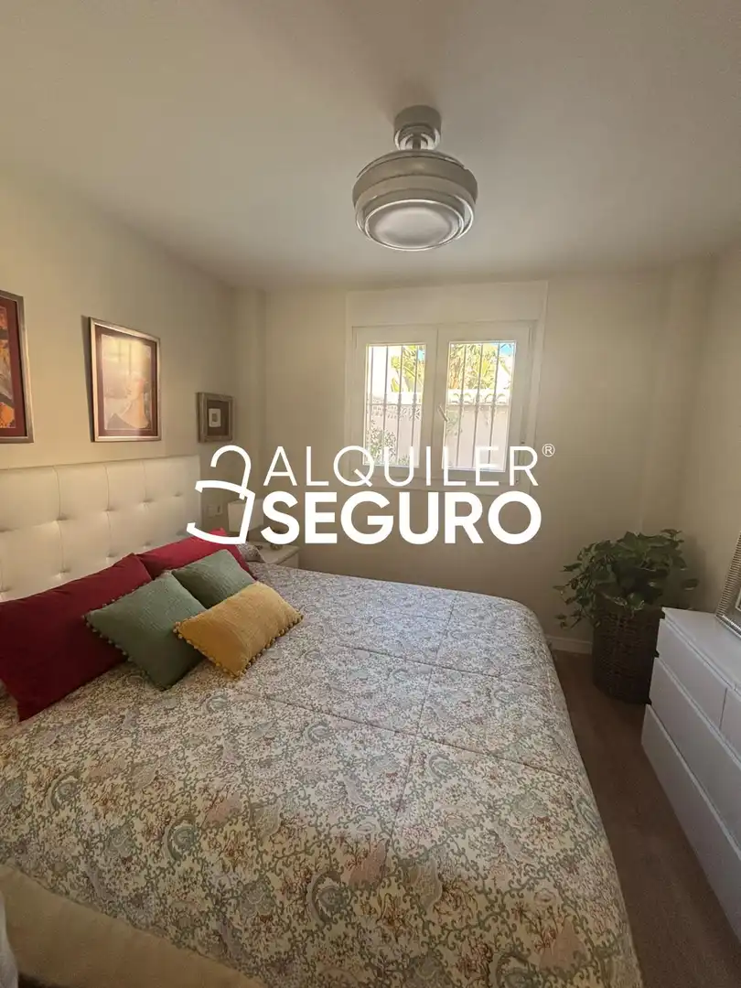 Detached house with pool to rent in Escritor busto previ, imagen 9