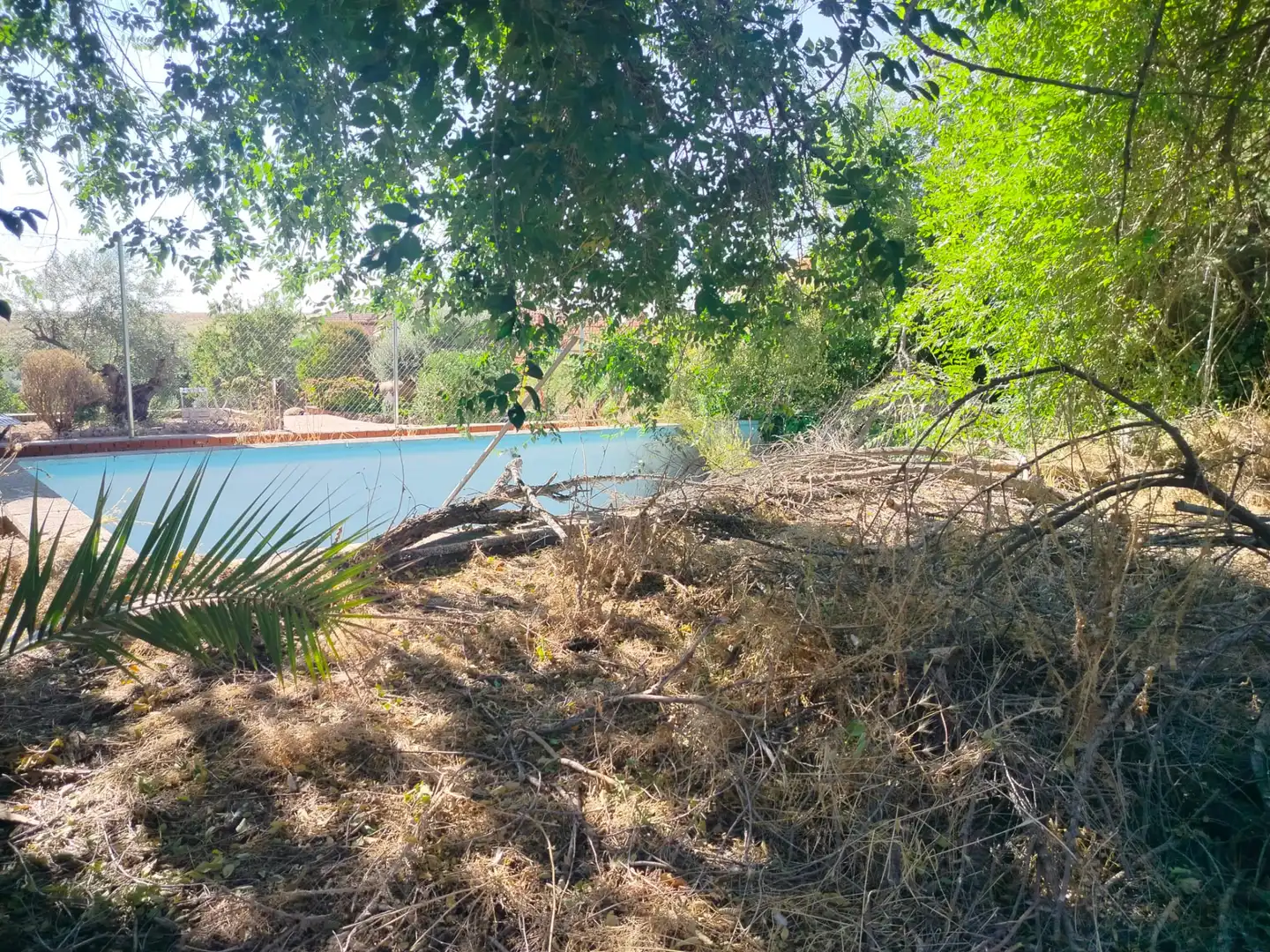 Chalet con piscina en venta en El Viso de San Juan, imagen 2