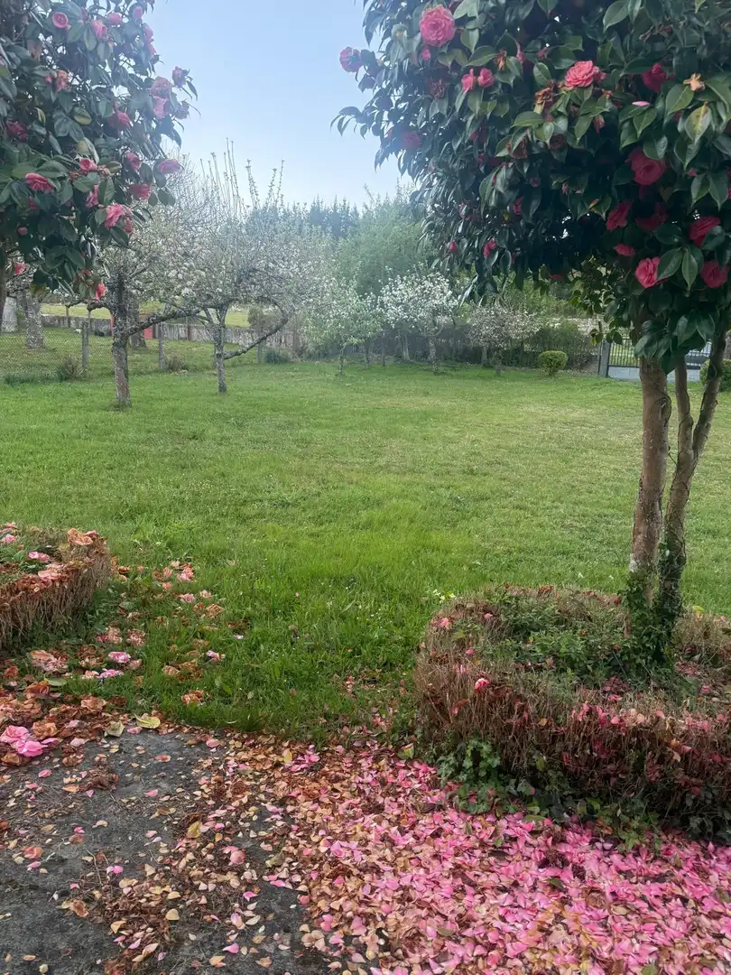 Casa o chalet en venta en Friol