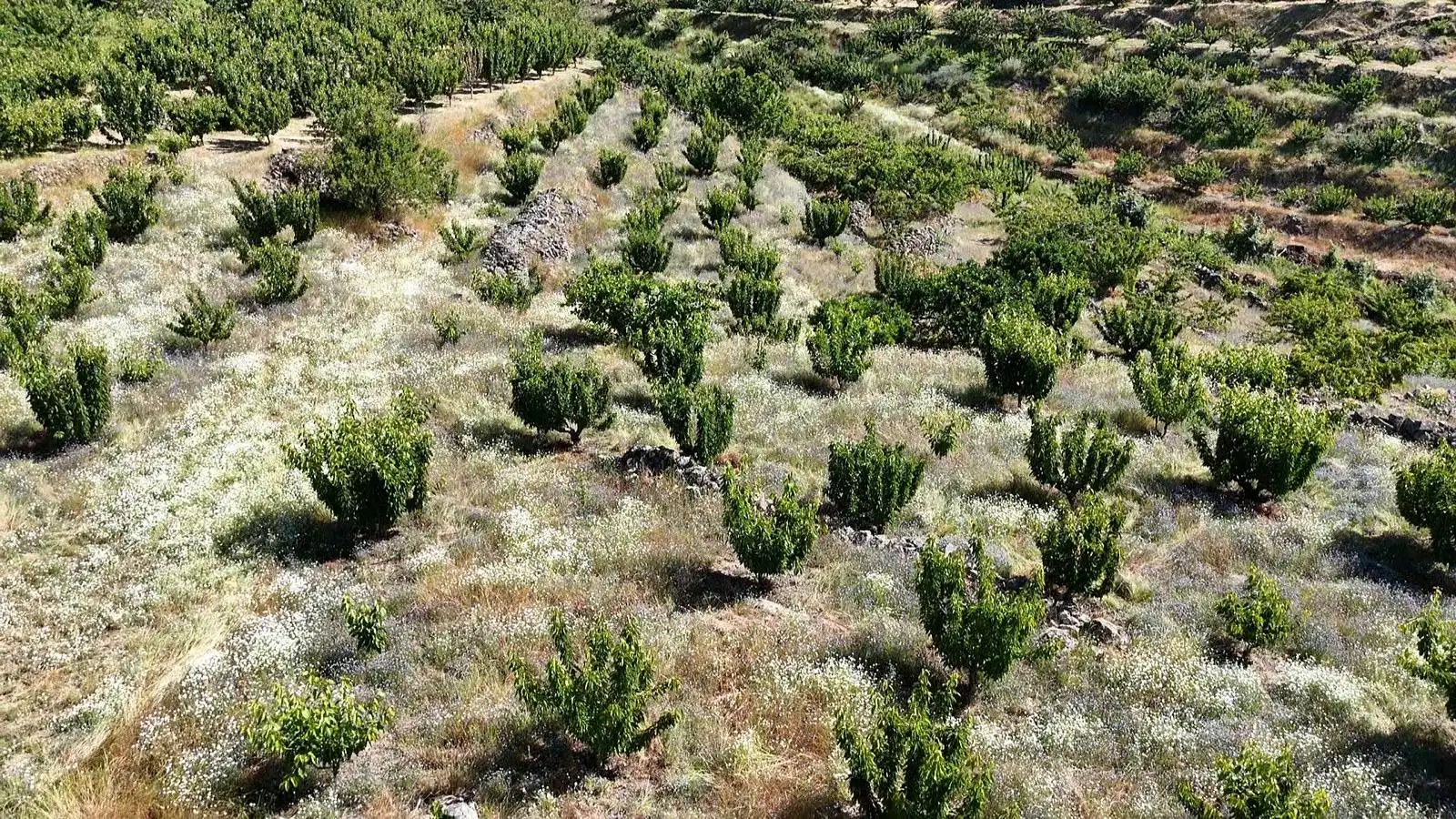 Terreni e lotti in vendita a Urbanizacion el Pajarejo, imagen 19