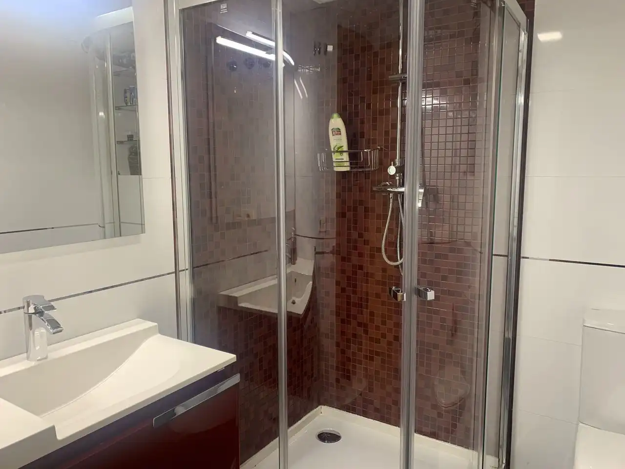 Baño de Piso en venta en Almenara con Amueblado