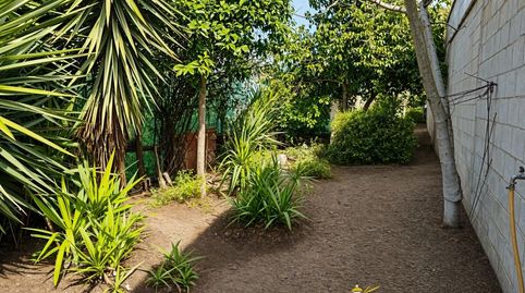 Foto 3 von Fabrikhallen zum Verkauf in La Jara, Sanlúcar de Barrameda