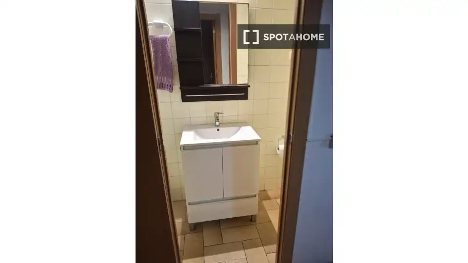 Bany de Apartament per a compartir en Sant Martí