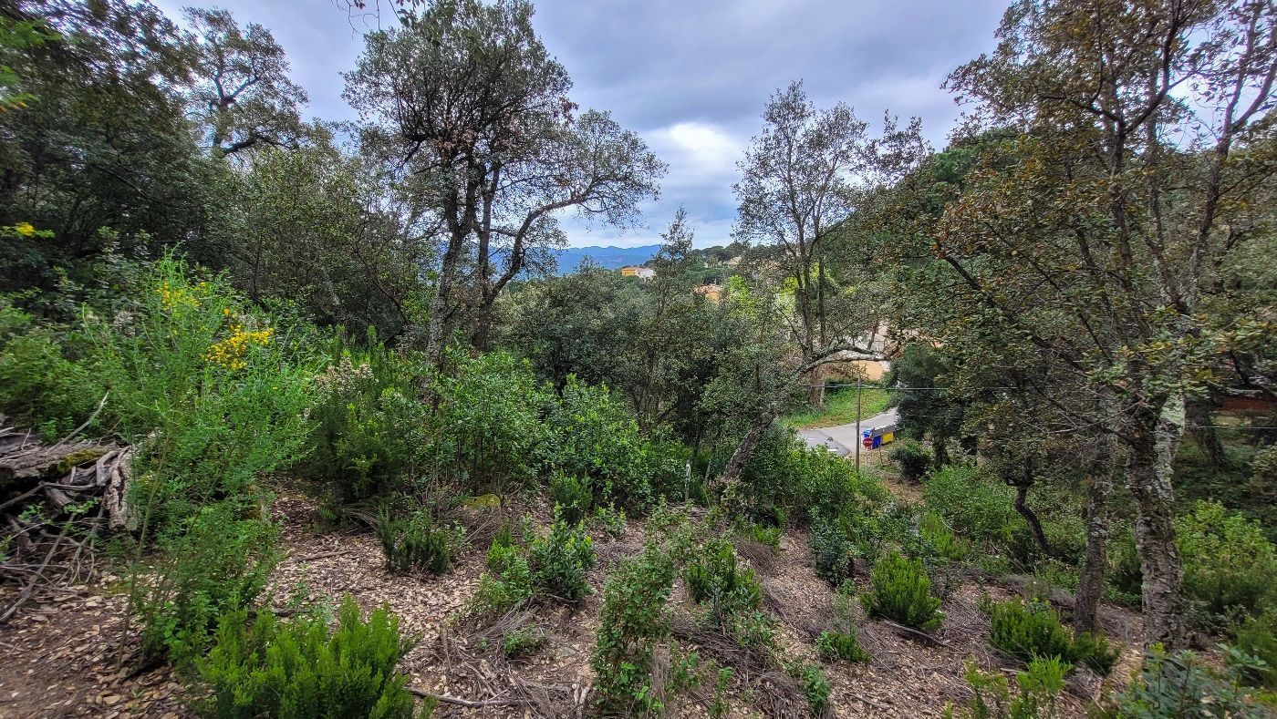 Residential for sale in Santa Cristina d'Aro