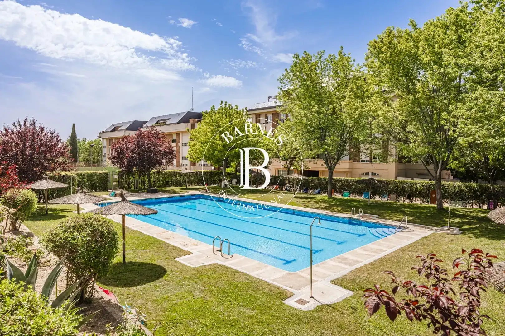 Dúplex amb piscina en venda a Casco Antiguo, imagen 46