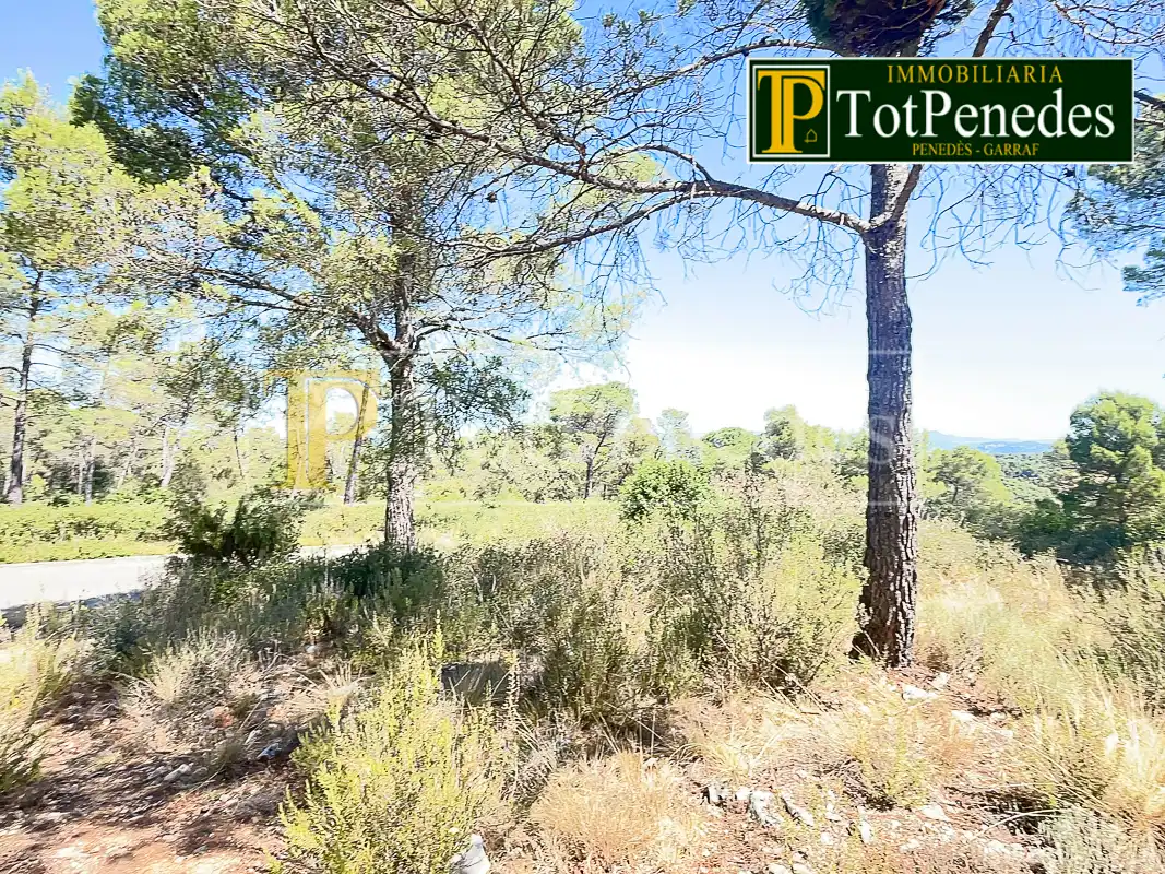 Terreny residencial en venda a Carrer Tarragona, imagen 19
