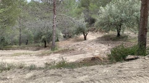 Foto 4 de Finca rústica en venda a Calle San Francisco, Beniardà, Alicante