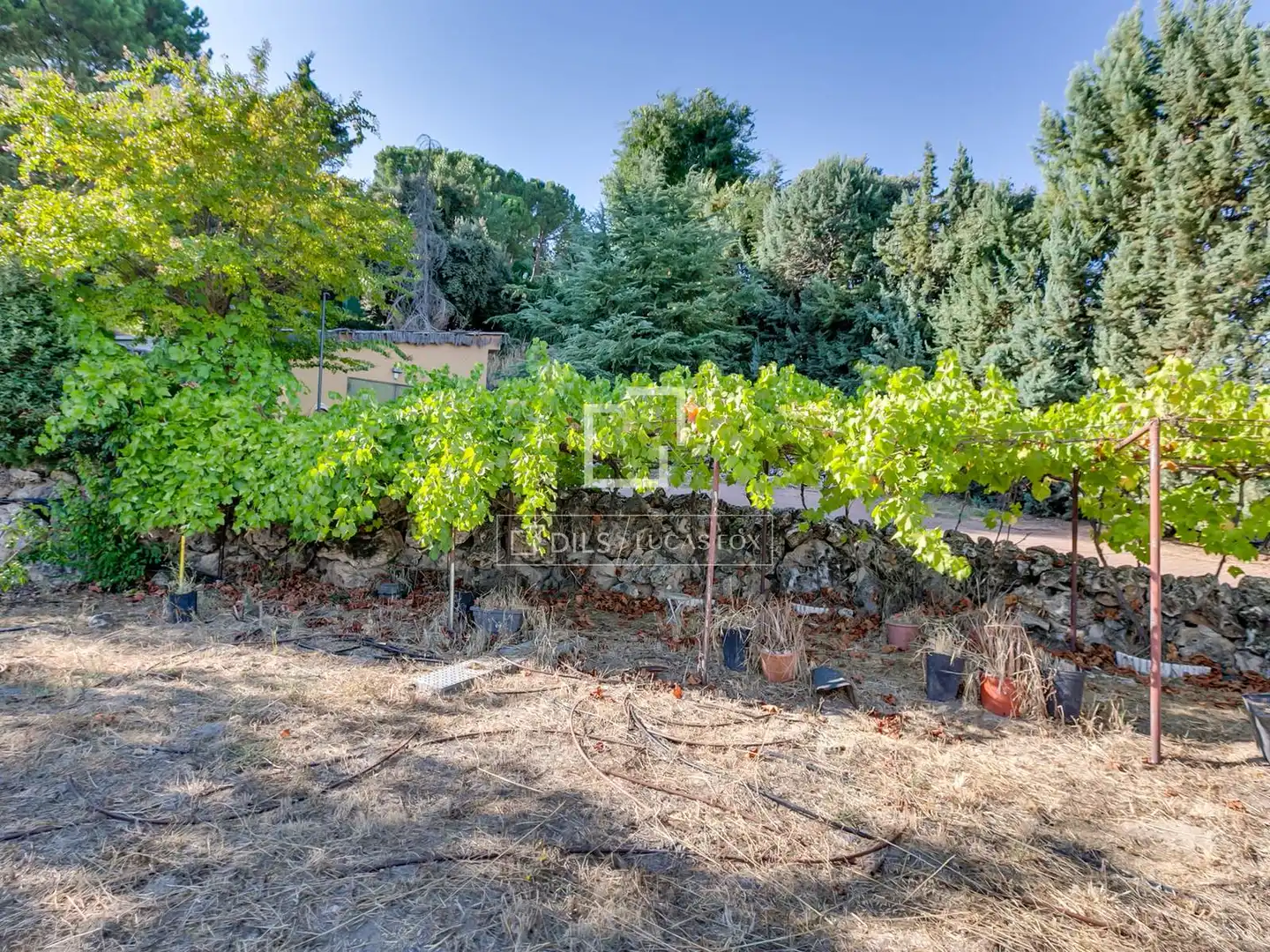 Casa o chalet en venta en Algete con Aire acondicionado, Calefacción y Jardín privado