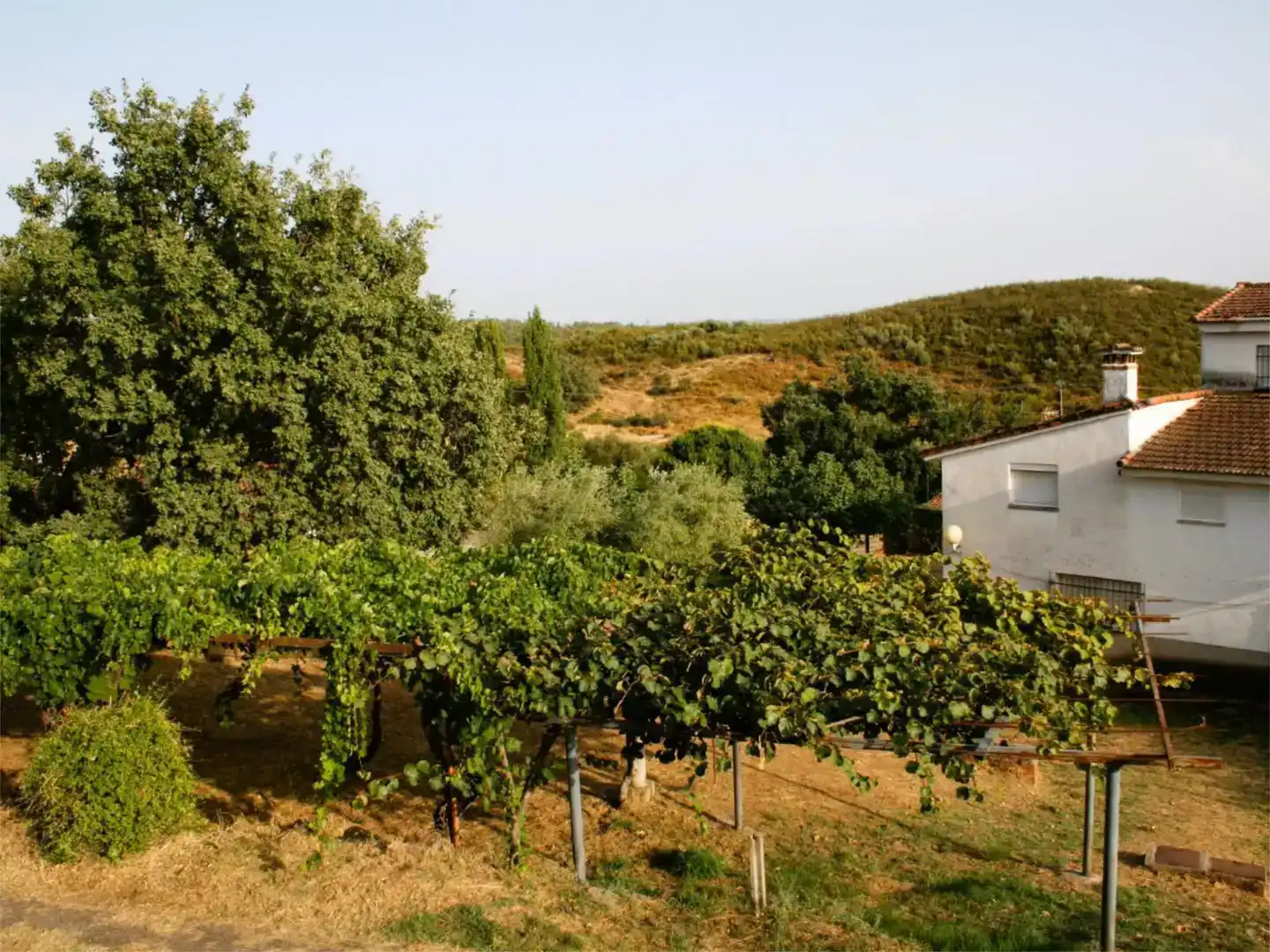 Jardín de Piso en venta en Candeleda con Jardín privado, Trastero y Amueblado