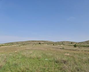 Casa o xalet en venda en Jumilla