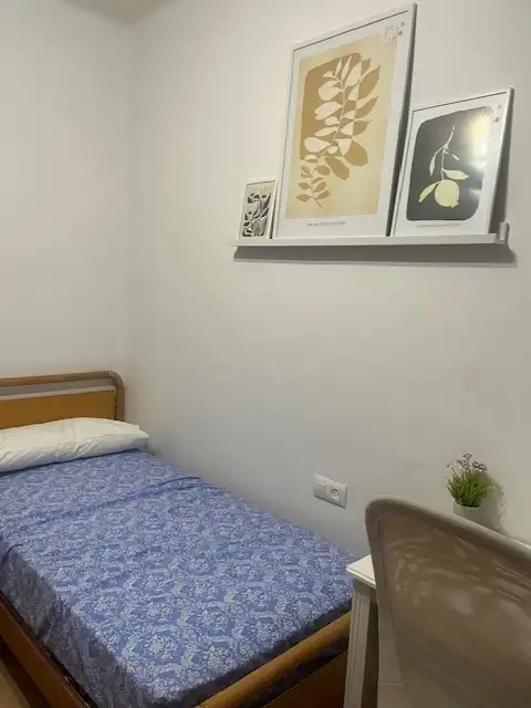 Pis de lloguer a Avinguda de Pius XII, 1, Instituts - Universitat