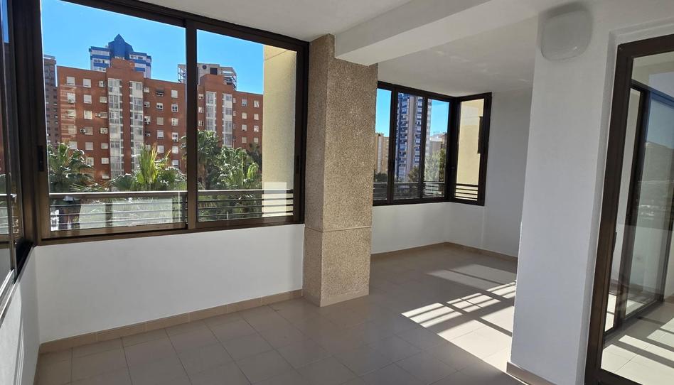 Foto 1 de Apartament en venda a Juzgados - Plaza de Toros, Alicante