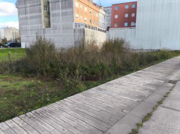 Terreni e lotti in vendita a Calle Celso Emilio Ferreiro