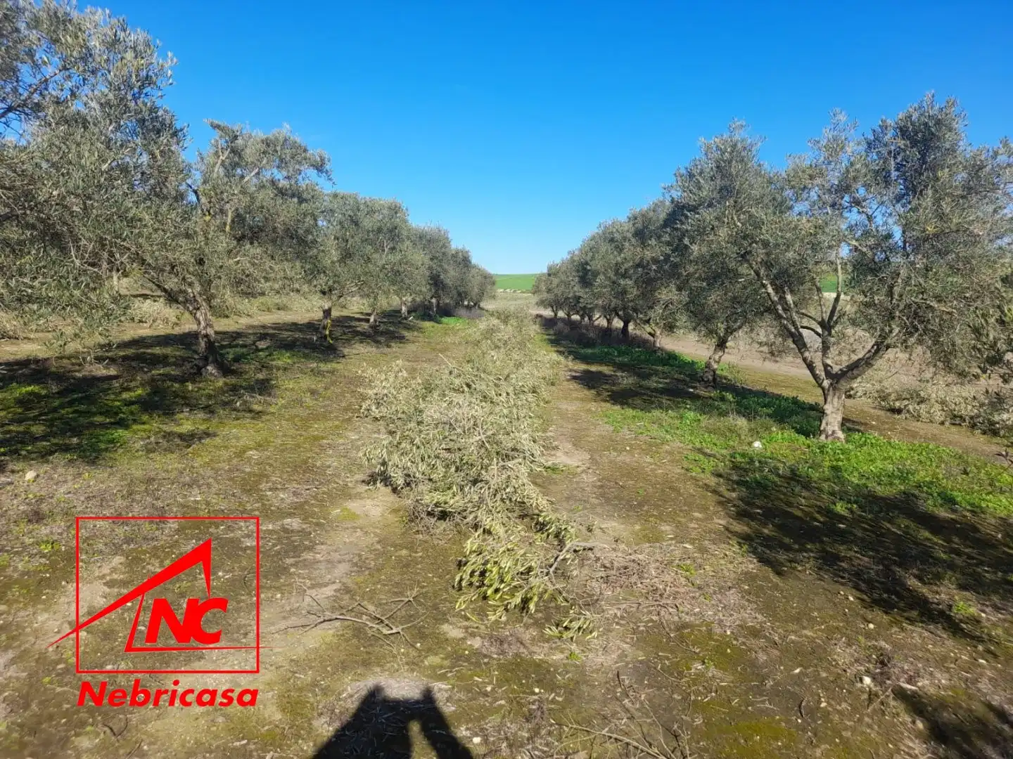Terreni e lotti in vendita a Lebrija, imagen 11