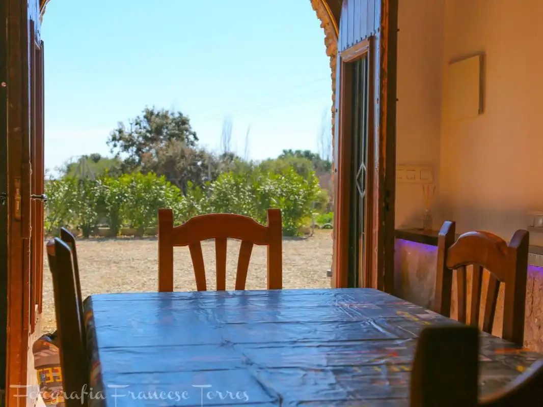 Casa rústica con jardín en venta en Camí del Mas de Colomi 9, imagen 54